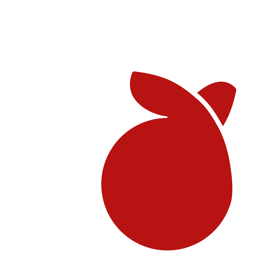 dedoo logo